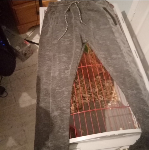 Clothes - Picture 2 of 2